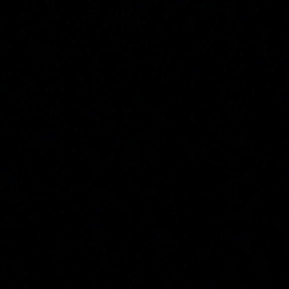 Meet your Posher, Cali - Picture 1 of 1